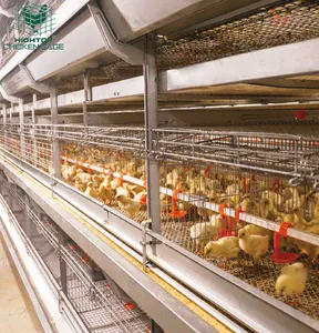 Durable in use chicken breeding brooder cage of chickens