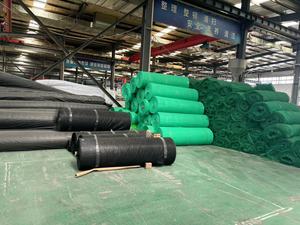 2D 3D Composite thoát nước thảm thực vật HDPE PE geonet sợi lưới sản xuất lưới làm cho dòng đùn - Product Image 5