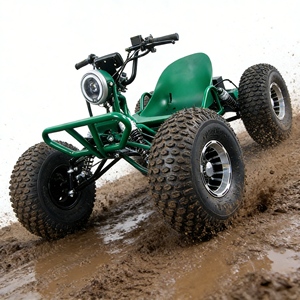 Kart électrique <span class=keywords><strong>36V</strong></span> directement de l'usine, batterie 2000W pour kart électrique, pour enfants, course en plein air et usage récréatif - Product Image 3