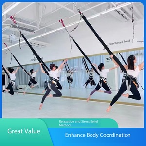 Cuerda de Resistencia para Yoga Aéreo, Cinturón de Resistencia para Danza Bungee, Cuerda para Entrenamiento en Casa, Gimnasio, Fitness, Arnés para Salto Bungee en Interiores - Product Image 2