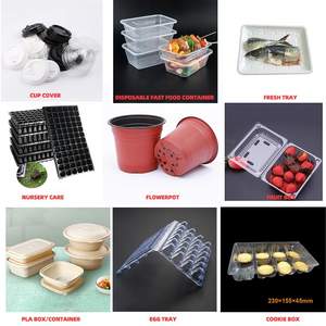 Voll automatische Fast-Food-Brotdose aus Kunststoff zur Herstellung einer Thermo form maschine - Product Image 2