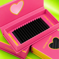 Extensions de cils individuelles en cachemire pour volume, kit d'extensions de cils, plateaux à cils, fournitures d'extensions, vente en gros, personnalisation