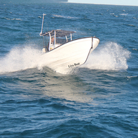 Liya nouveau travail de conception 25 pieds bateau bateaux de pêche professionnels bateau panga à vendre
