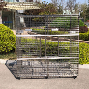 Grande volière LIZE pour oiseaux, <span class=keywords><strong>cage</strong></span> extérieure pour perroquets, cages et abris pour animaux de compagnie en acier inoxydable, fabrication de cages pour animaux. - Product Image 5