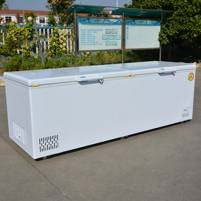 Hot Sale Nice Quality 2-door Direct Cooling Single-Temperature Deep Chest Freezer Horizontal Large Capacity