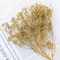 AYOYO Plantes séchées Millet Fruit Fleur Couleur naturelle pour décorations de bougies et décorations pour la maison eucalyptus fruit