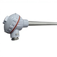 Sonde thermocouple haute température anti-abrasion PROG-ST902-1, précision 0~1200, montage à vis II pour applications en aciéries