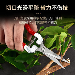 Tijeras profesionales para recoger frutas, podadora de acero inoxidable de 20cm para jardinería de huertos, diámetro de corte de 5mm - Product Image 4
