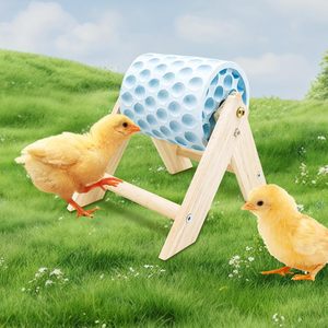 <b>Wooden</b> chicken beak grinder with calcium stones and <b>wooden</b> frame. Adds fun to your pet's beak. - Product Image 1