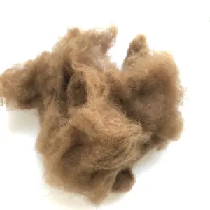 23-26mic Dehaired Camel Wool 100% Natural Camel Hair With competitive price