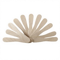 Bâtonnets et cuillères à glace faits maison, biodégradables, en bois de bouleau blanc, flexibles, portables, de haute qualité et économiques