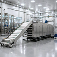 Séchoir à bande transporteuse pour aliments, déshydrateur pour fruits, légumes, épices et herbes, ligne de traitement de déshydratation