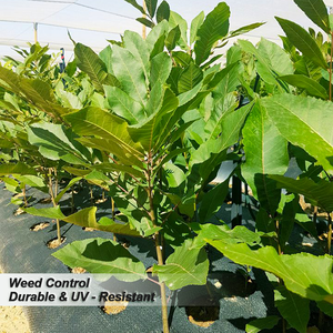 Cho Giữ Lại Tường Chịu Được Giao Thông Chân Dệt Vải Polypropylene Kim Đấm Không Dệt 100G Trung Quốc Nhà Cung Cấp Cỏ Dại Hàng Rào - Product Image 4