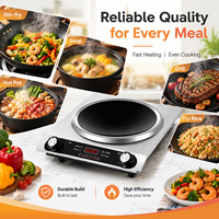 Cuisinière électrique à plaque céramique 3500W, brûleur unique, boîtier en acier inoxydable, commande tactile, portable, écologique, pour camping-car et usage domestique