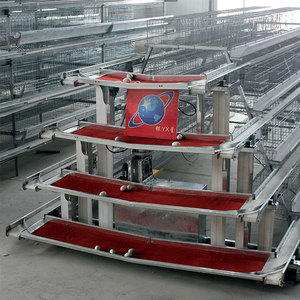 Equipo Automático de Jaulas en Batería Tipo A de 4 Niveles para Gallinas Ponedoras con Sistema de Recolección de Huevos y Sistema de Cinta Transportadora para la Eliminación de Estiércol - Product Image 3