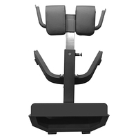 Machine d'entraînement musculaire abdominale de sport réglable commerciale équipement de gymnastique-chaise romaine d'extension arrière en acier