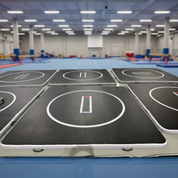Tapis de lutte et de gymnastique gonflable de qualité supérieure 3mx3m en PVC antidérapant pour Jiu Jitsu BJJ MMA Judo et salle de sport à domicile