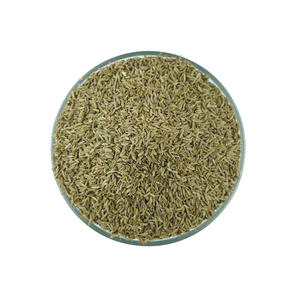 Graines de cumin vert riches en saveur, conçues pour une utilisation culinaire, le mélange d'épices et la préparation de recettes traditionnelles - Product Image 1