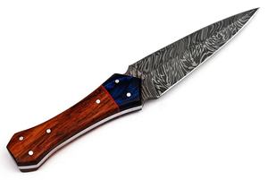 Beautiful Sizzco Damascus Steel Fixed Blade Hunting and Camping Skinner <b>Knife</b> with Rosewood Handle Customizable OEM Support - Product Image 3