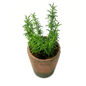 Planta Artificial Decorativa en Maceta <span class=keywords><strong>de</strong></span> Cemento, Tomillo, Follaje Decorativo para el Hogar u Oficina, Estilo Rústico Encantador - Product Image 2