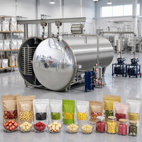 Lyophilisateur Commercial pour la Transformation Alimentaire – Machine de Séchage par Congélation pour Fruits, Légumes, Viandes et Foies de Poulet