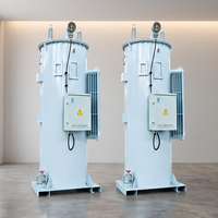 Régulateur de tension monophasé AVR pour systèmes de production d'énergie en Asie du Sud-Est et en Asie Centrale, tension nominale 11 kV, 110 kVA, 100 A