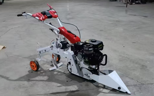 Récolteuse <span class=keywords><strong>d</strong></span>'ail portative à essence 6HP, cueilleuse <span class=keywords><strong>d</strong></span>'ail autoportée à haute efficacité et économie de main-<span class=keywords><strong>d</strong></span>'œuvre pour usage agricole en petite exploitation - Product Image 6
