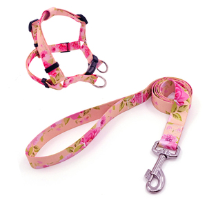 Conjunto de Arnés y Correa para Perro con Estampado Floral, Cierre de Hebilla Ajustable, Talla Pequeña, Estilo Adorable para Perros - Product Image 1