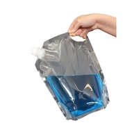 Logo personnalisé réutilisable bouteille de boisson gazeuse en forme de jus d'eau en plastique de 250ml 500ml sac de pochettes à bec verseur