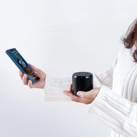 Mini haut-parleur sans fil portable 8W, son stéréo classique 5.0, caisson de basses avec indice d'étanchéité IPX7