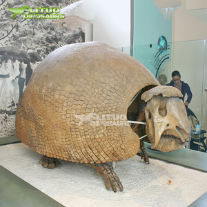 Scheletro di Glyptodon a Grandezza Naturale, Epoca Preistorica della Era Glaciale, in Vendita - Product Image 2