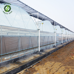 Los invernaderos agrícolas utilizan el último sistema resistente a los rayos UV <span class=keywords><strong>de</strong></span> película plástica <span class=keywords><strong>de</strong></span> invernadero para sistemas <span class=keywords><strong>de</strong></span> cultivo NFT Tubería <span class=keywords><strong>de</strong></span> PVC - Product Image 4