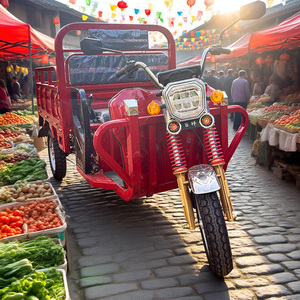 Motocicleta Eléctrica de Calidad Superior Triciclo Eléctrico de <span class=keywords><strong>3</strong></span> <span class=keywords><strong>Ruedas</strong></span> para Adultos - Product Image 2