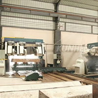 Machine de découpe automatique de pierres de bordure multi-disques pour le traitement des pierres de bordure de routes en granit et marbre