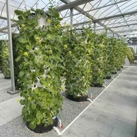 Tour de culture hydroponique de comptoir en plastique renforcé avec réservoir de nutriments pour la culture de salades vivantes