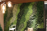 Décoration d'intérieur, mur végétal extérieur, aménagement paysager, plantes vertes artificielles, mur végétal artificiel, jardin vertical artificiel