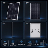 Panneau solaire bifacial TOPCon de type N 650W 182R 132 cellules pour le développement de projets de production d'énergie solaire en Asie du Sud-Est