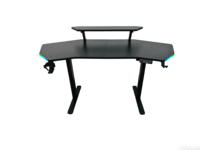 Bureau de jeu électronique réglable en hauteur avec support d'écran, noir, grand, RGB, bureau de jeu informatique, bureau de travail électrique, bureau debout