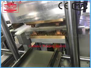 สายการผลิตถุงทางการแพทย์อัตโนมัติสำหรับถุงพลาสม่าในเลือดและเครื่องบรรจุถุงสายสวนของเหลว - Product Image 3