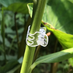 Clip en plastique spécial Phalaenopsis pour <span class=keywords><strong>la</strong></span> fixation des greffes, des plantes de jardin, des vignes et des fleurs - Product Image 2
