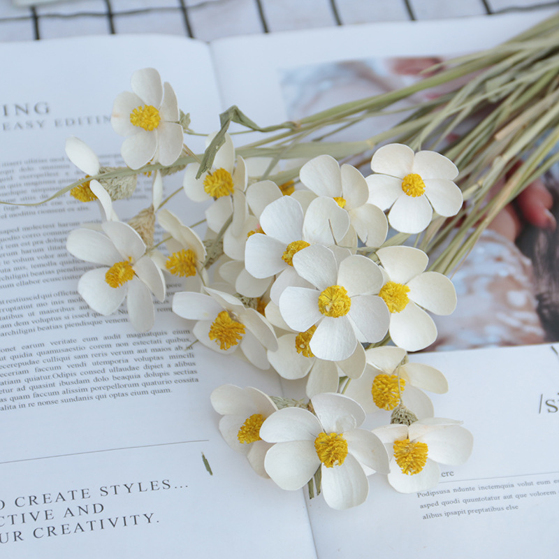 White (12 in a bunch)