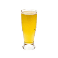 Classique en plastique incassable boisson bière verre à boire taille différente artisanat bière pinte tasses en verre