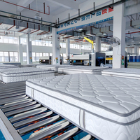 Matelas gonflable en latex à ressorts ensachés King Size de haute qualité, compressé sous vide, à bon prix, pour chambre à coucher