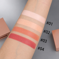 Palette de Correcteurs Individuels Haute Couvrance Mélangeables pour le Visage, Maquillage Personnalisé, Marque Privée, OEM, ODM, Kit Cosmétique en Gros