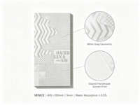 Carreaux muraux graphiques modernes 400x200mm en porcelaine brillante, motif mosaïque chevron, carreaux décoratifs pour café, bureau, mur d'accentuation