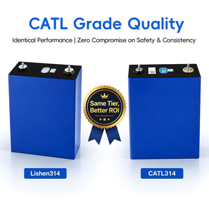 Batería Prismática LiFePO4 Lishen <span class=keywords><strong>de</strong></span> 314 Ah con Certificación ESI, IEC62619, UN383, Ciclo Profundo, 3.2V, Recargable, Solución Energética para el Hogar - Product Image 2
