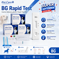 Kit de test rapide BG pour la détection des anticorps Babesia Gibsoni chez le chien, pour dépistage vétérinaire