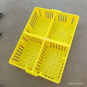 กล่องขนส่งลูกไก่แรกเกิด กล่องพลิกตัวลูกไก่ กล่องพลาสติกสำหรับขนส่งลูกไก่ - Product Image 5