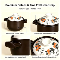 Pot en céramique pour cuisinières à gaz, résistant à la chaleur, anti-fissures, passe au lave-vaisselle, nouveau style chinois, grande capacité, pour faire des soupes et des ragoûts