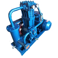 Compresseur de gaz GPL Corken ZW-0.5/10-16, compresseur industriel, compresseur de gaz de cuisson